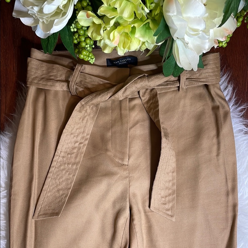 Ann Taylor Tan Trousers with Belt - Picture 3 of 13
